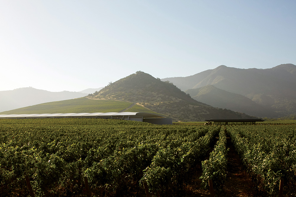 Vik Winery