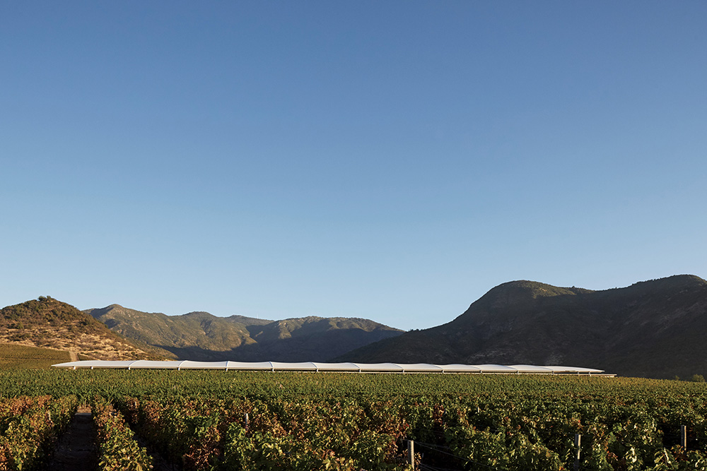 Vik Winery