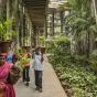 Indian Institute of Management Bangalore