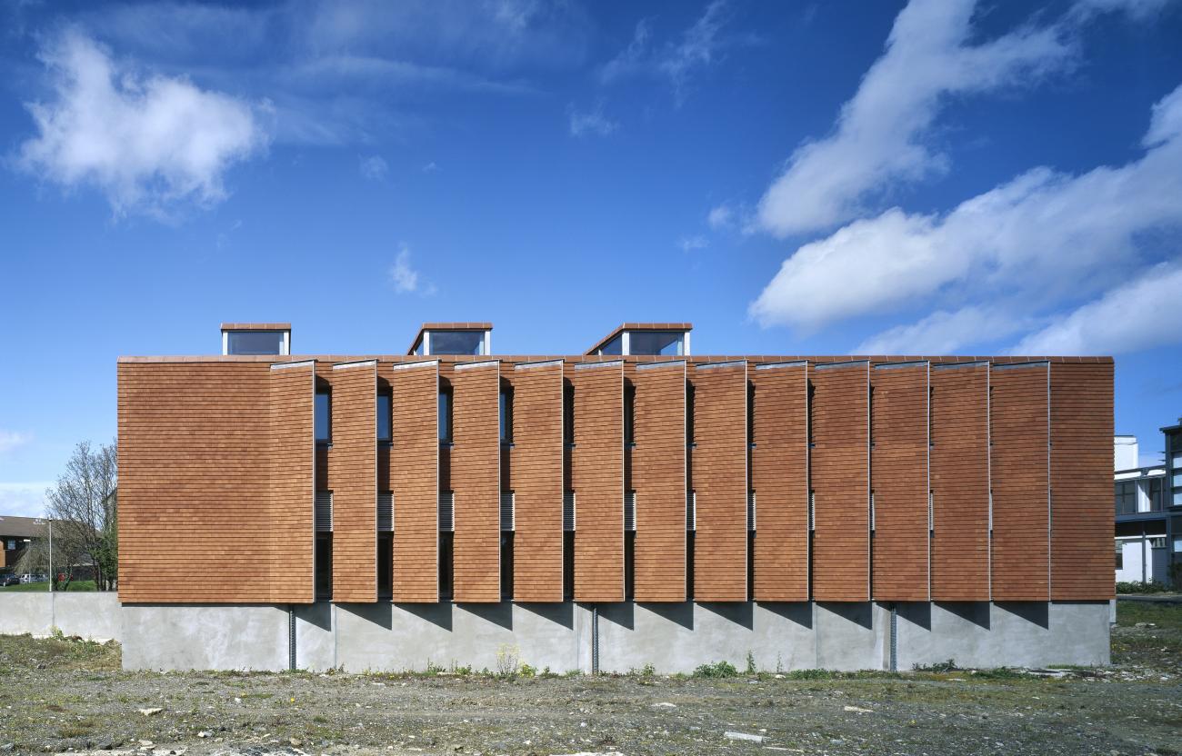Urban Institute  of Ireland