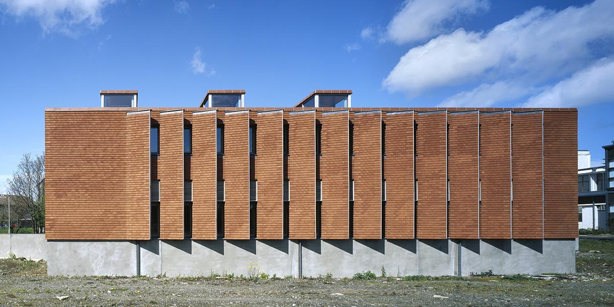 爱尔兰城市研究院